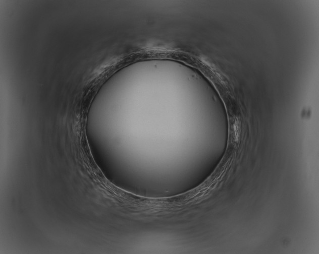 X0000089371157200707131630