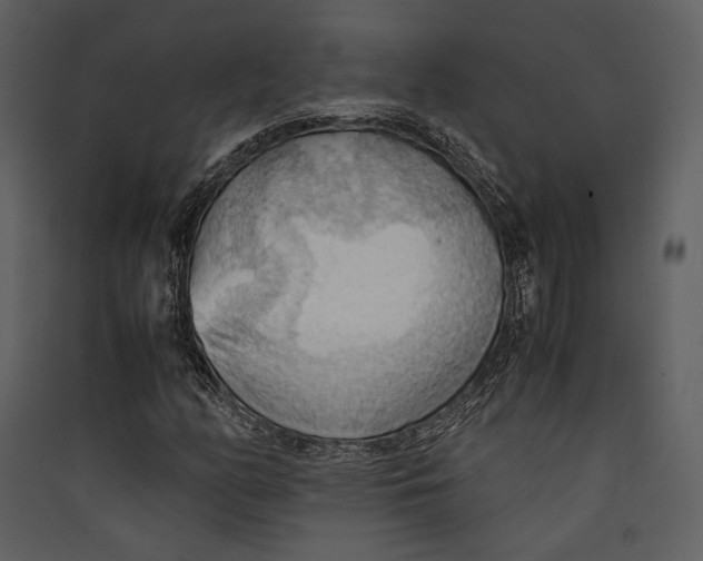 X0000089371158200707131630