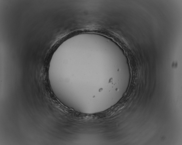 X0000089371160200707131630