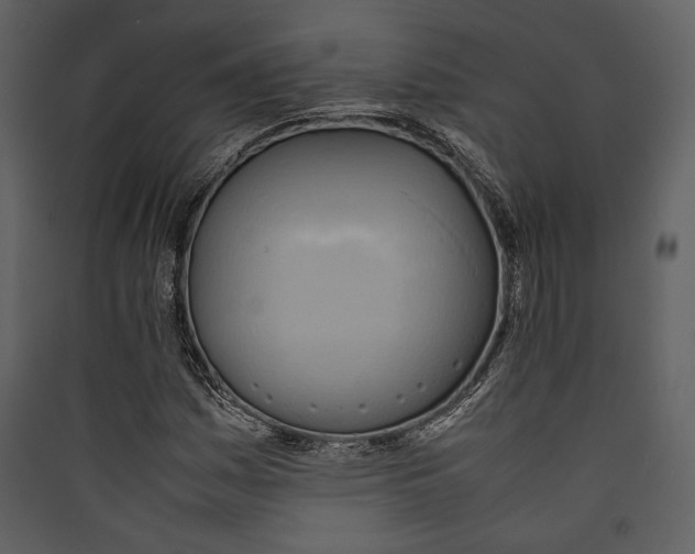 X0000089371161200707131630