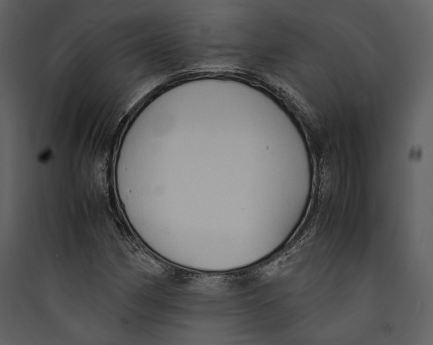 X0000089371162200707131630