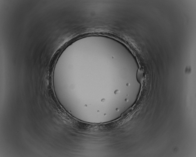 X0000089371165200707131630