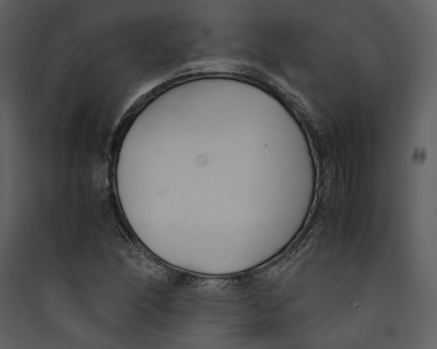 X0000089371166200707131630