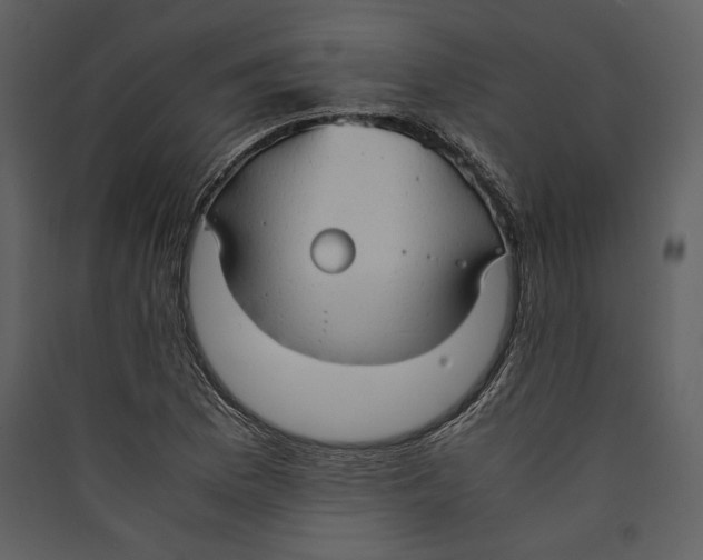 X0000089371169200707131630