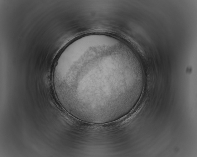 X0000089371170200707131630