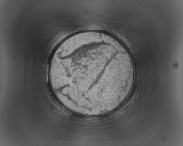 X0000089371171200707131630