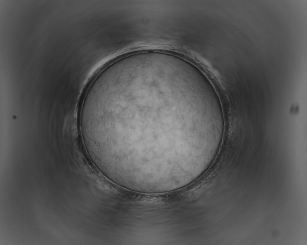 X0000089371174200707131630