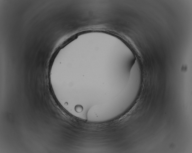 X0000089371176200707131630