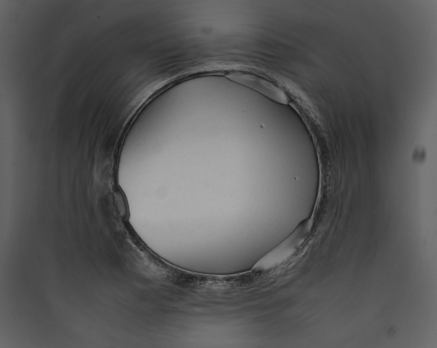 X0000089371177200707131630