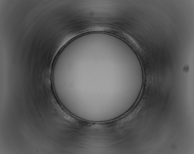 X0000089371178200707131630