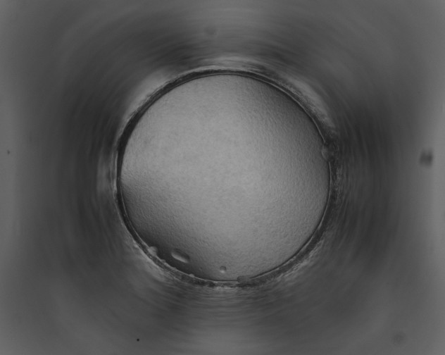 X0000089371180200707131630