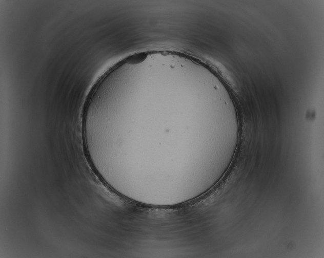 X0000089371184200707131630