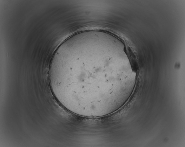 X0000089371185200707131630