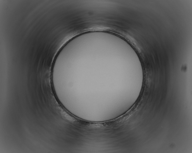 X0000089371186200707131630