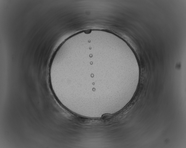 X0000089371187200707131630