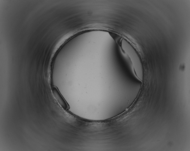 X0000089371188200707131630