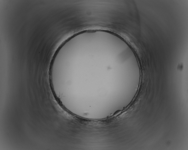 X0000089371189200707131630