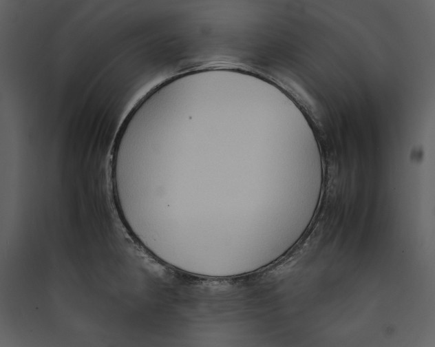 X0000089371190200707131630