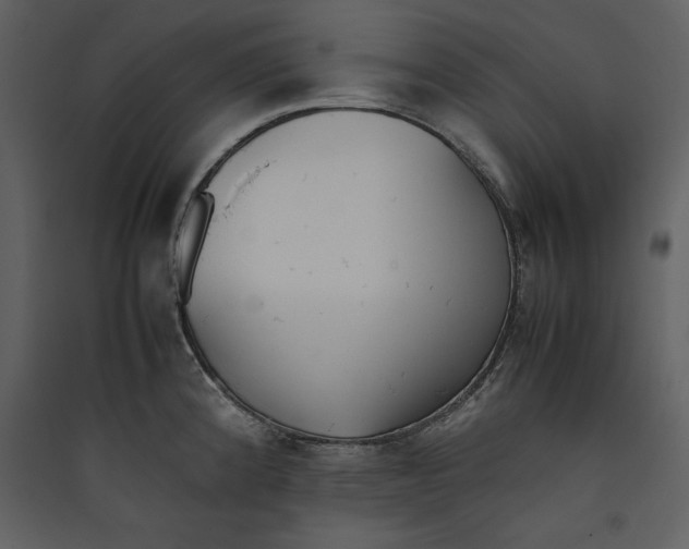 X0000089371192200707131630