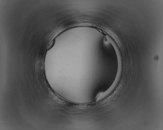 X0000089371193200707131630