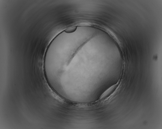 X0000089371194200707131630