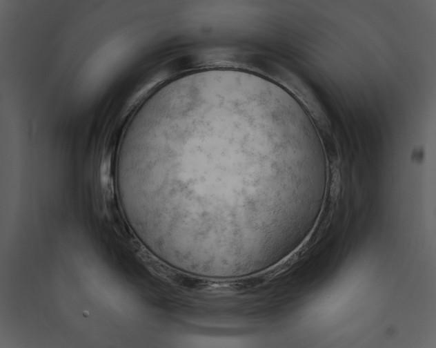 X0000089371198200707131630