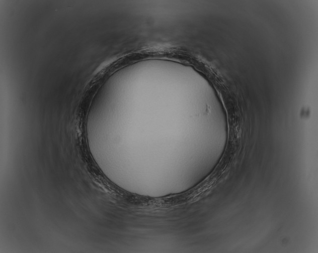 X0000089371206200707131629