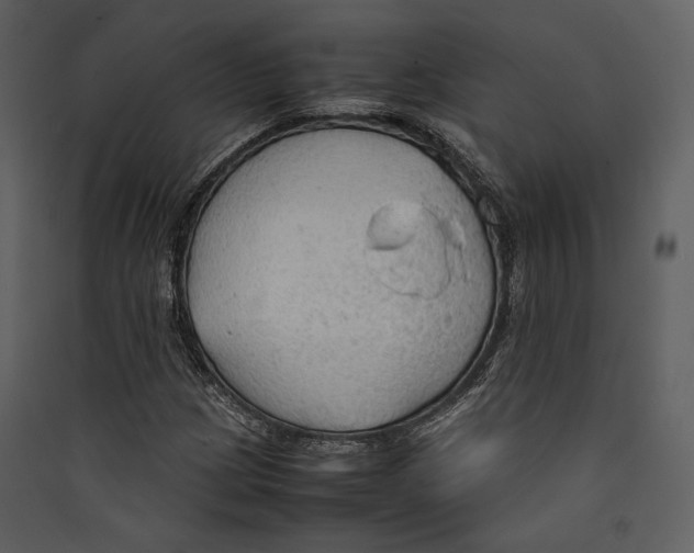 X0000089371209200707131629