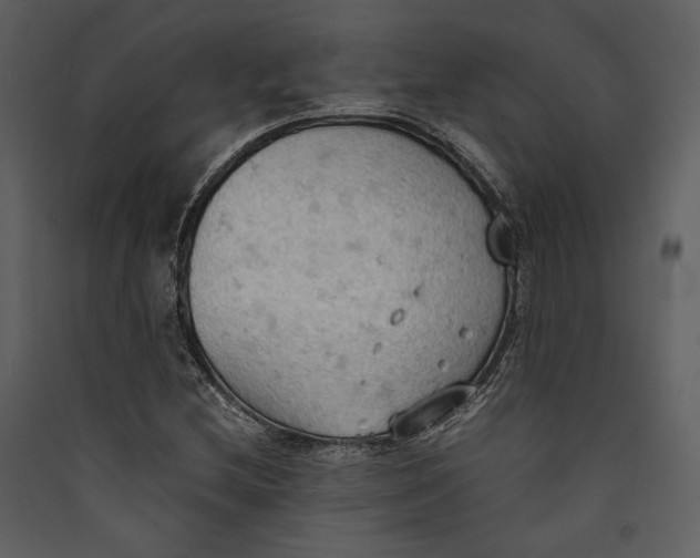 X0000089371212200707131629