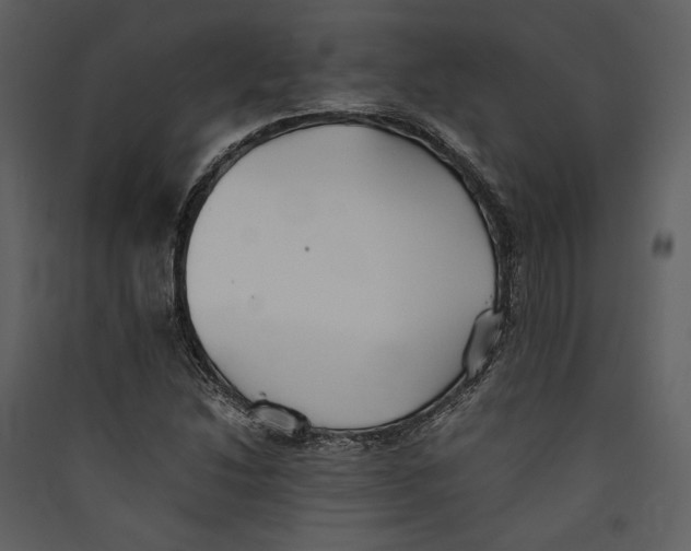 X0000089371214200707131629