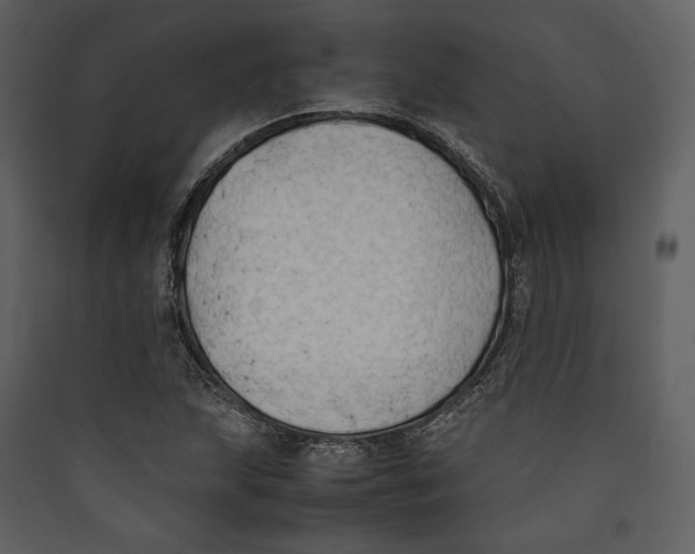 X0000089371215200707131629