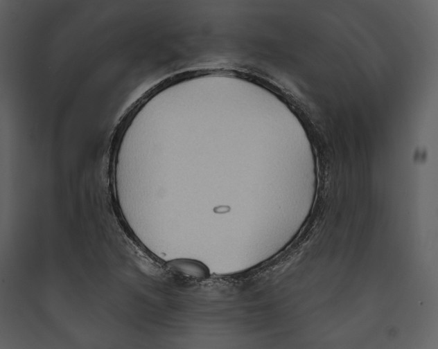 X0000089371216200707131629