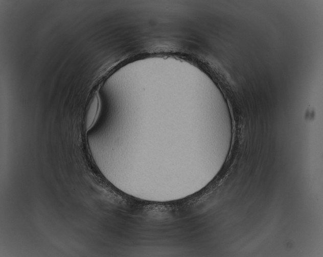 X0000089371217200707131629