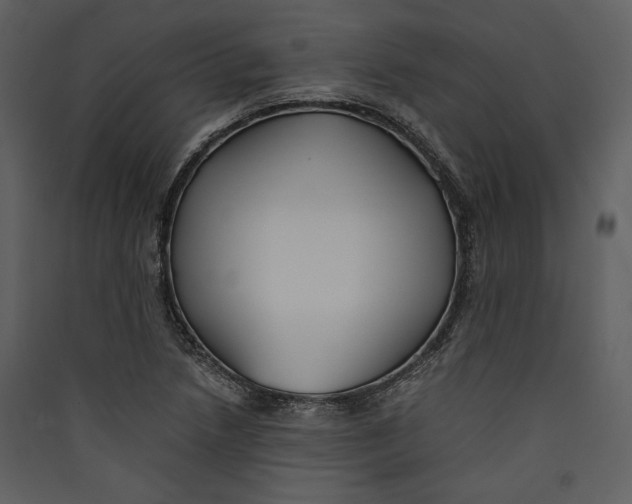 X0000089371218200707131629