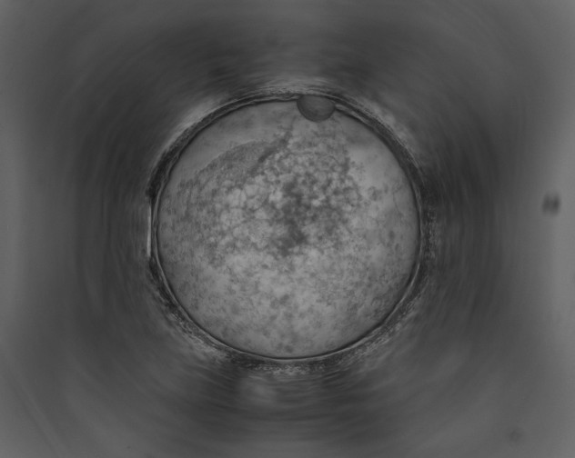 X0000089371219200707131629