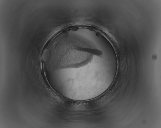 X0000089371221200707131629