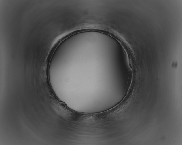 X0000089371222200707131629