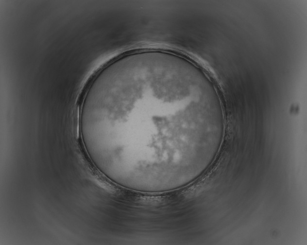 X0000089371223200707131629