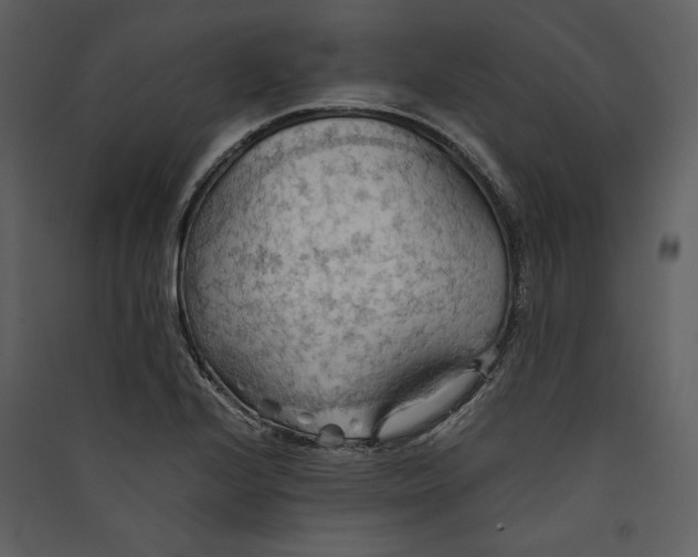 X0000089371224200707131629