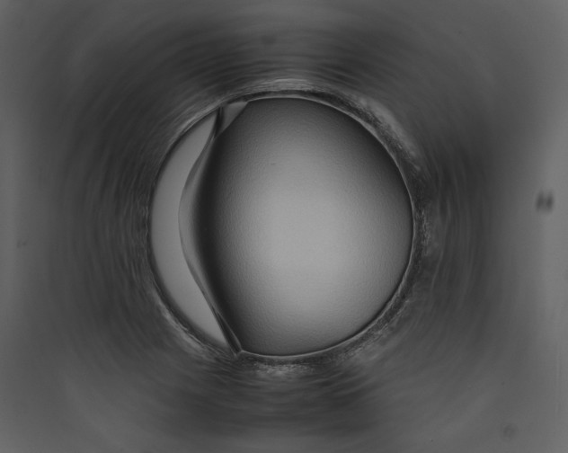 X0000089371225200707131629