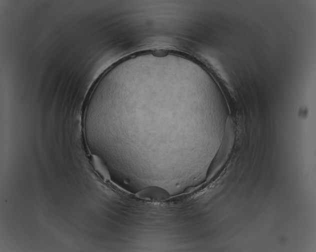 X0000089371226200707131629