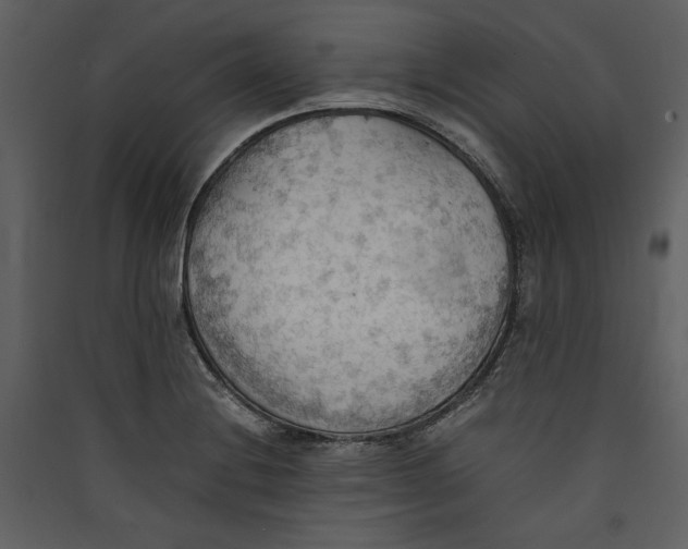 X0000089371228200707131629