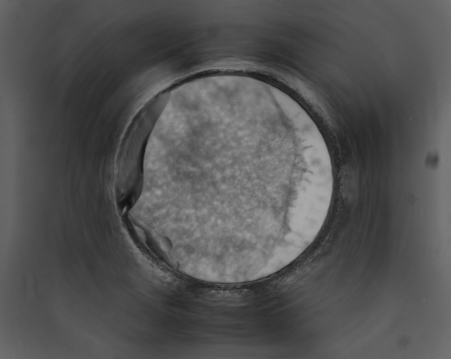 X0000089371229200707131629