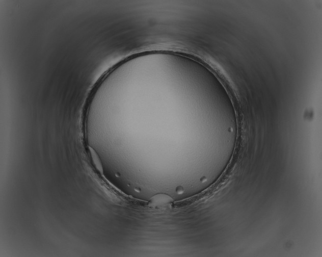 X0000089371230200707131629