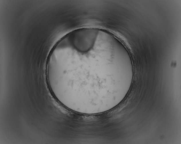 X0000089371231200707131629