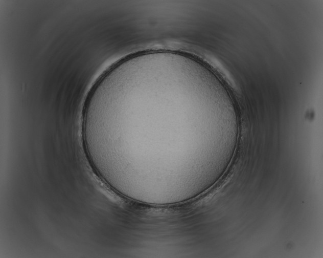 X0000089371232200707131629