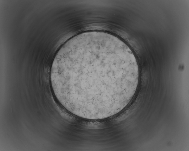 X0000089371233200707131629