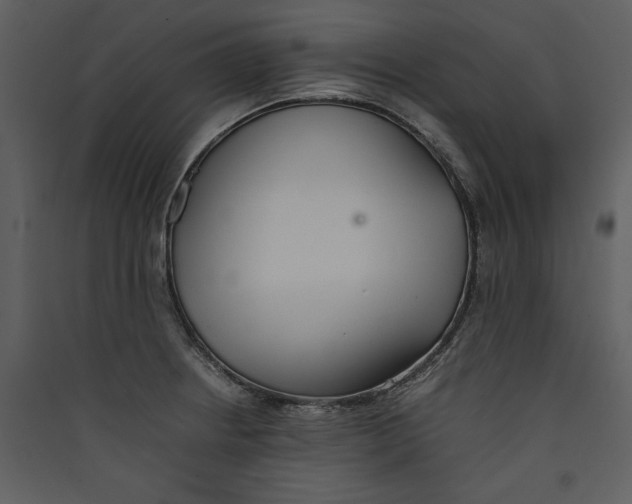 X0000089371234200707131630