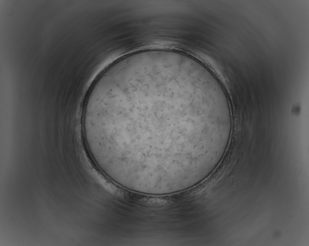 X0000089371235200707131630