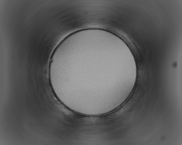 X0000089371236200707131630